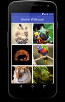 Animal Wallpapers تصوير الشاشة 1