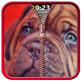 Puppy Zipper Screen Lock icône
