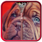 Puppy Zipper Screen Lock 圖標