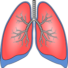 ফুসফুস পরিষ্কার করার পদ্ধতি biểu tượng