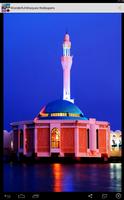 Wonderful Mosques Wallpapers تصوير الشاشة 2