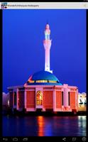 Wonderful Mosques Wallpapers syot layar 2