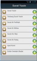 Surat Yasin 스크린샷 1