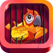 Angry Parrot