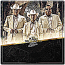 Ariel Camacho y Los Plebes del Rancho Mix APK