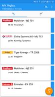 Maldives Flight Schedule plakat