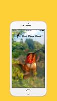 Bird Photo Booth স্ক্রিনশট 1