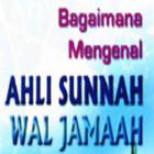Ahli Sunnah Wal Jamaah icône