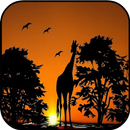 Free Giraffe Images APK