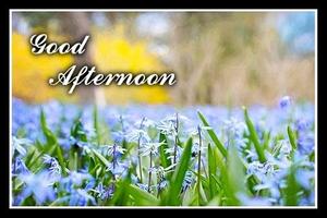 Free Good Afternoon Wish Card 스크린샷 3