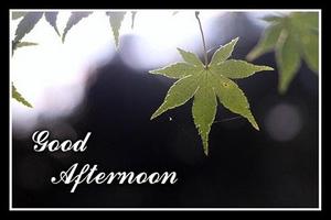 Free Good Afternoon Wish Card 스크린샷 1