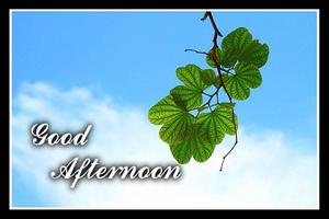 برنامه‌نما Free Good Afternoon Wish Card عکس از صفحه