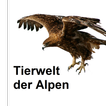 Tierwelt des Alpenraums