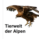 Icona Tierwelt des Alpenraums
