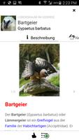 Tierwelt des Alpenraums تصوير الشاشة 3