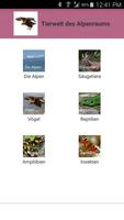 Tierwelt des Alpenraums الملصق