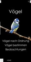 Vögel bestimmen 포스터