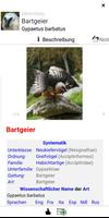 Vögel bestimmen 스크린샷 2