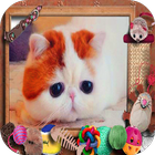 Icona Lovely Cat Jigsaw Puzzle