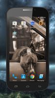 برنامه‌نما Fighting Dogs Live Wallpaper عکس از صفحه