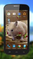 Hamster Live Wallpapers Affiche