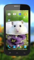 Hamster Live Wallpapers screenshot 1