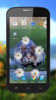 Hamster Live Wallpapers screenshot 3