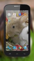 Rabbits Live Wallpaper screenshot 1