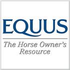 Equus icône