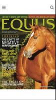 Equus Cartaz
