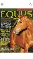 Equus plakat