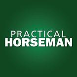 Practical Horseman
