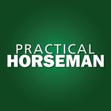 Practical Horseman APK