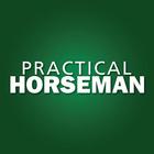 Practical Horseman ikona