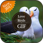 Love Birds GIF 图标