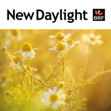 New Daylight ikona