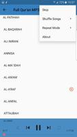 Full Quran MP3 Offline Hani Ar Rifai Screenshot 2