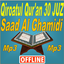 Full Qur'an 30 Juz Mp3 Offline Saad Al Ghamidi APK