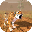 Hungry Tiger 3D