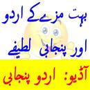 New Funny Urdu Punjabi Jokes Lateefy Latest 2018 APK