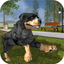 Rottweiler Dog Life Simulator APK