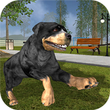 Rottweiler Dog Life Simulator aplikacja