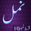 Namal 10 Urdu Novel Nimra