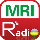 Radio Ile Maurice icône