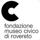 Fondazione MCR icon