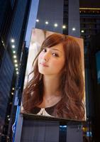 Airport Photo Hoarding Frames ポスター