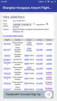 Shanghai HongqiaoAirportFlight capture d'écran 1