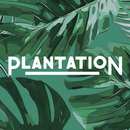 Plantation Coffee APK