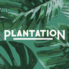 Plantation 圖標