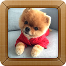 Mimi Animals APK